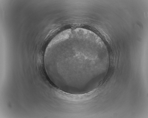 X0000115740035200912101324