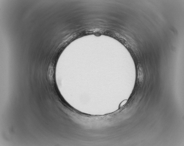 X0000115740036200912101324