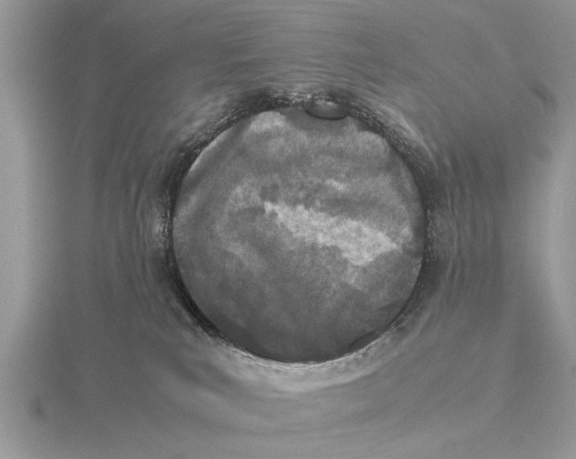 X0000115740039200912101324