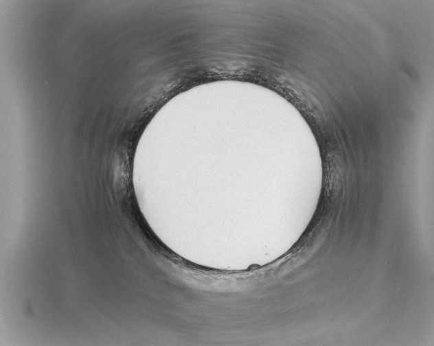 X0000115740040200912101324