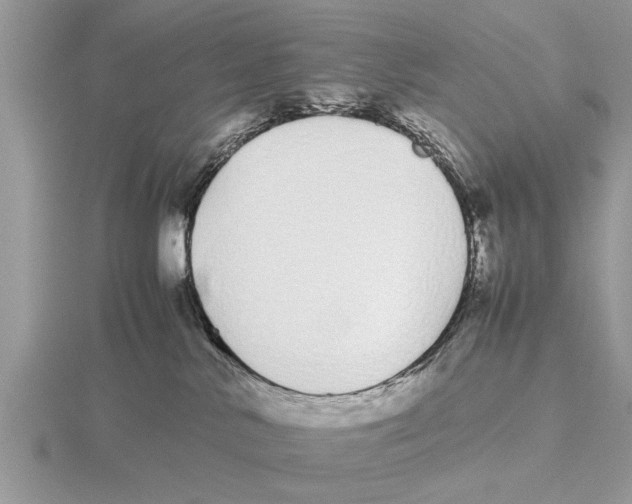 X0000115740042200912101324