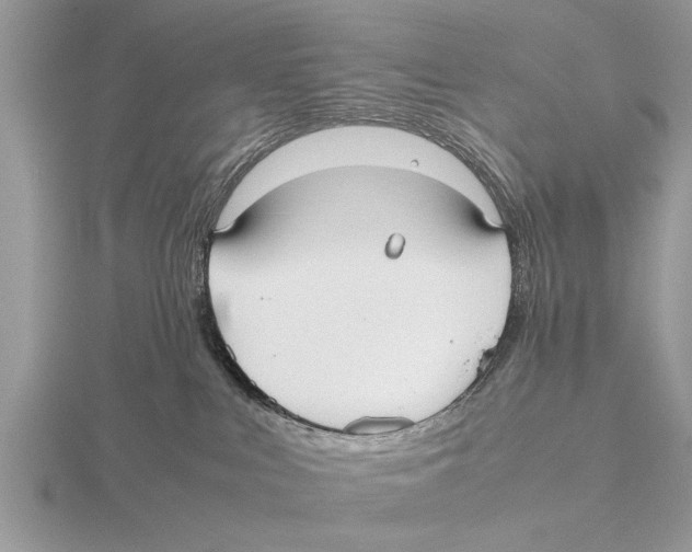 X0000115740043200912101324