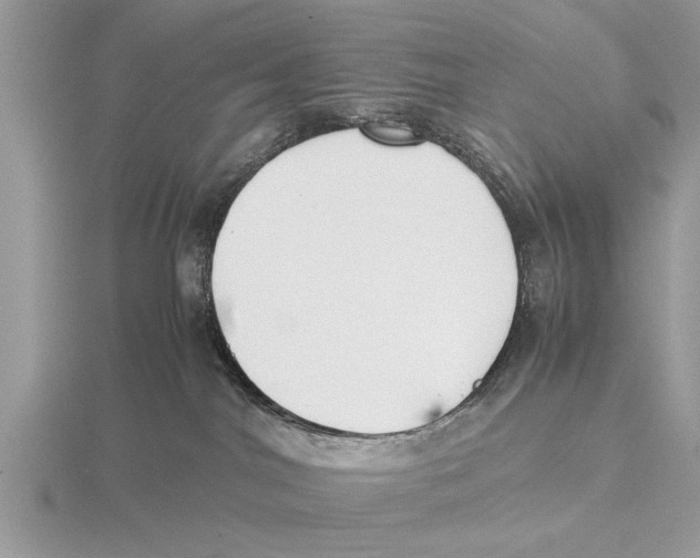 X0000115740044200912101324