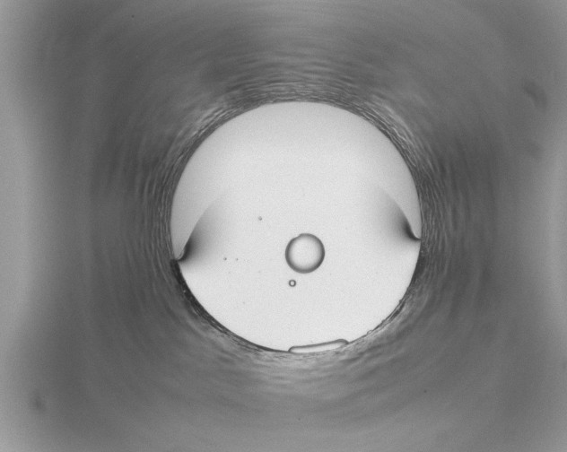 X0000115740045200912101324