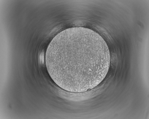 X0000115740046200912101324