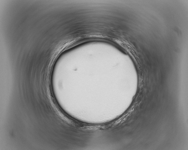 X0000115740049200912101323