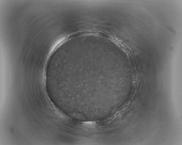 X0000115740053200912101323