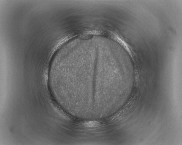 X0000115740059200912101323