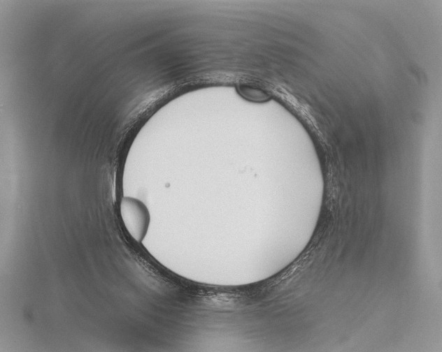 X0000115740062200912101324