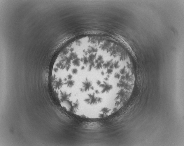 X0000115740063200912101324