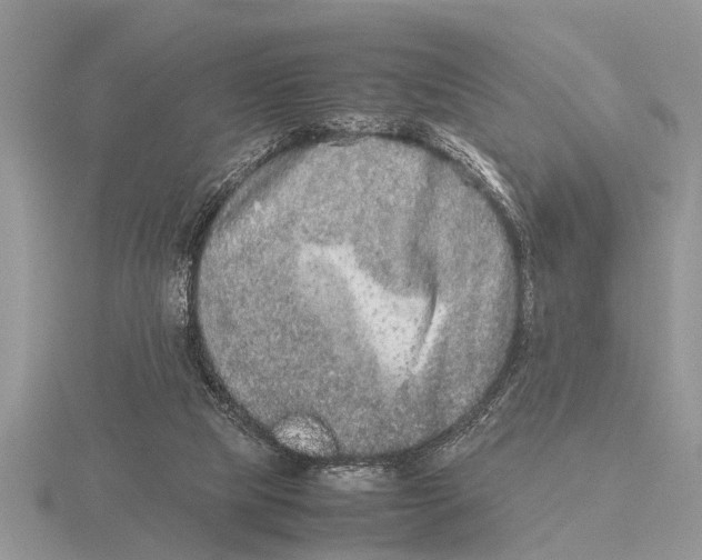 X0000115740065200912101324