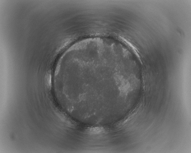 X0000115740067200912101324