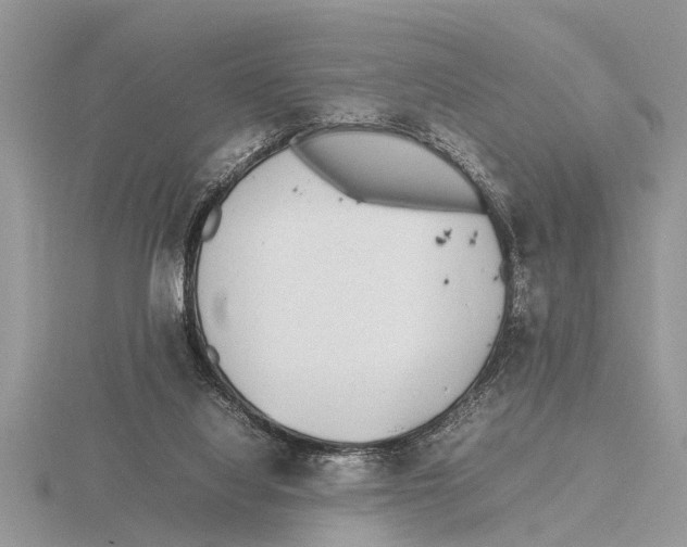 X0000115740068200912101324