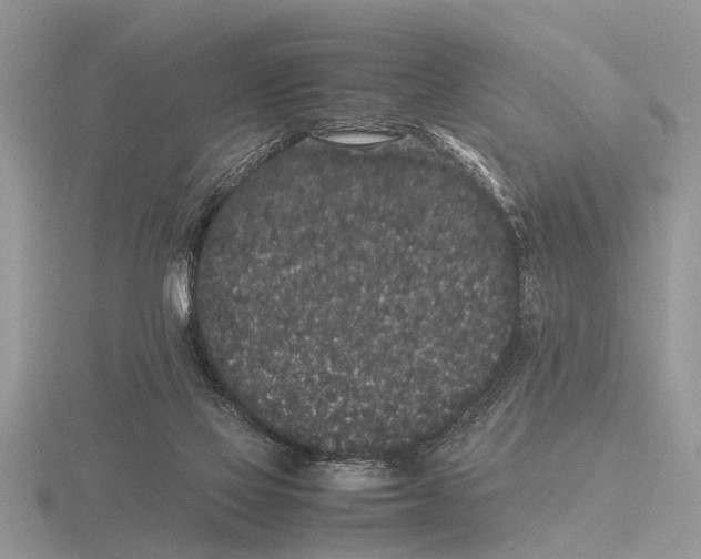 X0000115740069200912101324