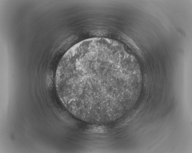 X0000115740073200912101324