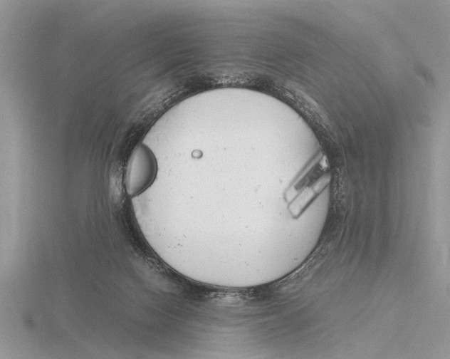 X0000115740074200912101324