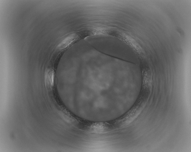 X0000115740076200912101324