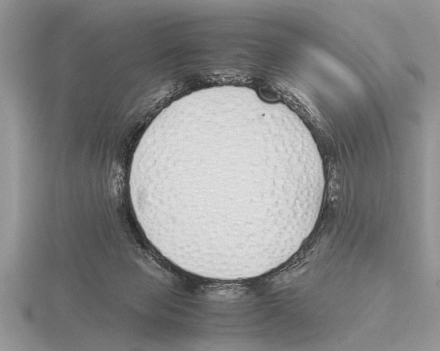 X0000115740077200912101324