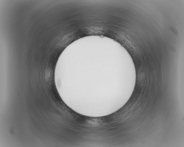 X0000115740079200912101324