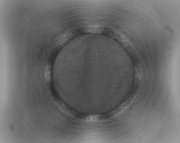 X0000115740080200912101324