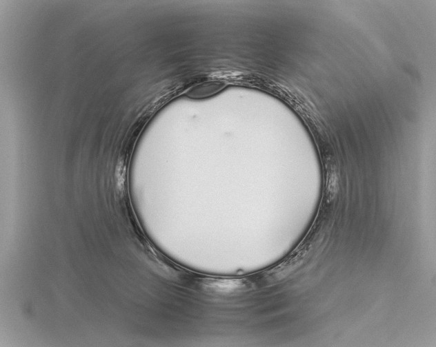 X0000115740081200912101324