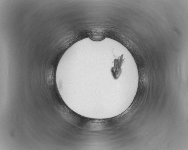 X0000115740082200912101324