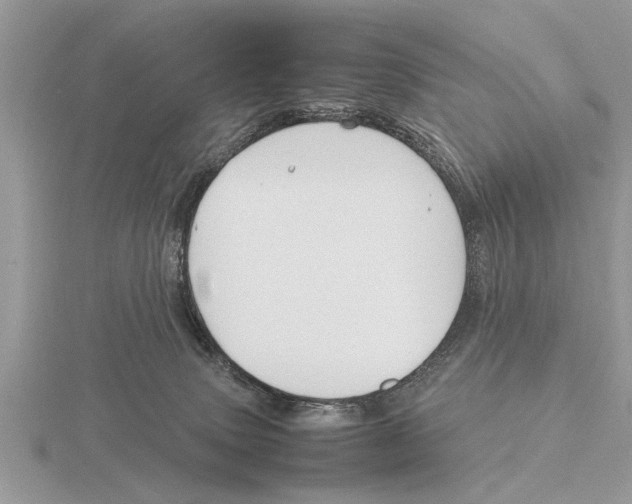 X0000115740083200912101324