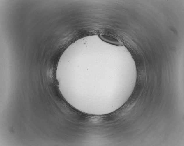 X0000115740088200912101324