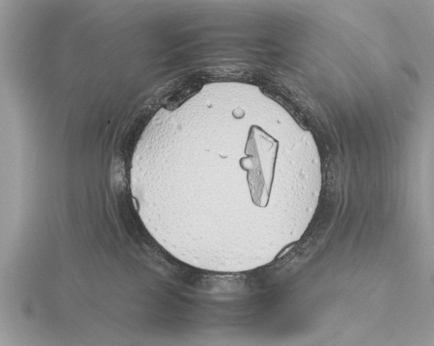 X0000115740089200912101324