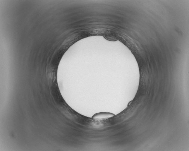 X0000115740091200912101324