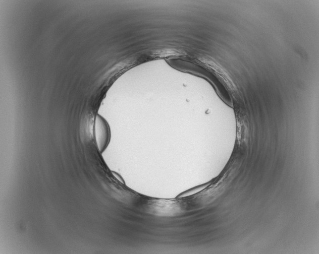 X0000115740095200912101324