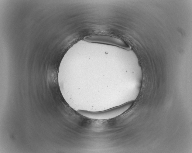 X0000115740096200912101324