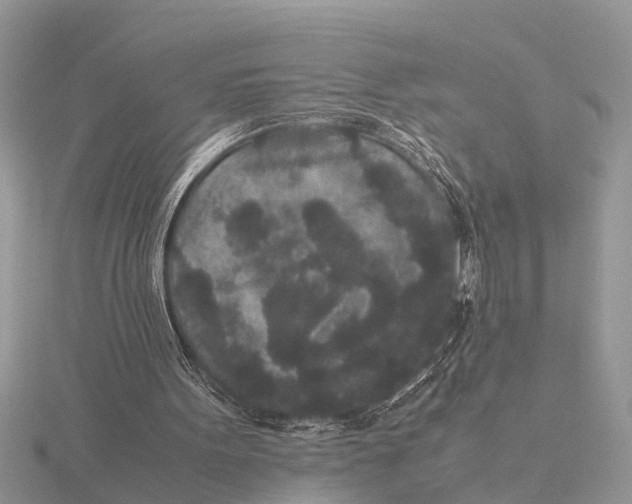 X0000115740099200912101323