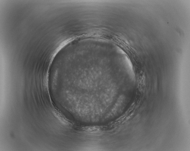 X0000115740100200912101323