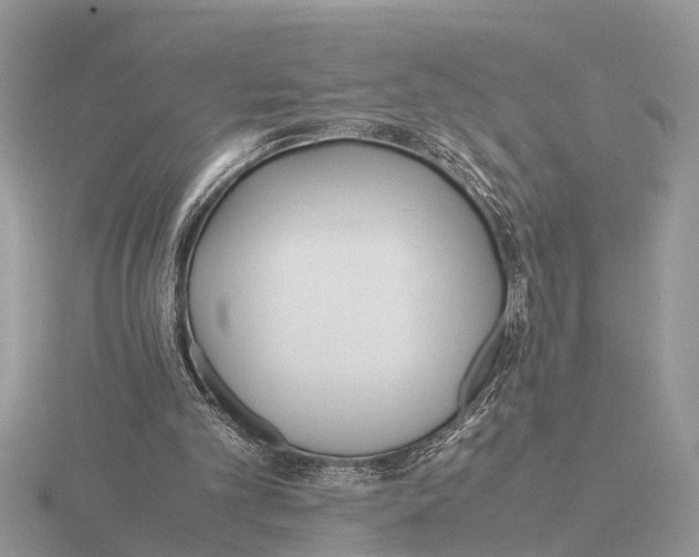 X0000115740101200912101323