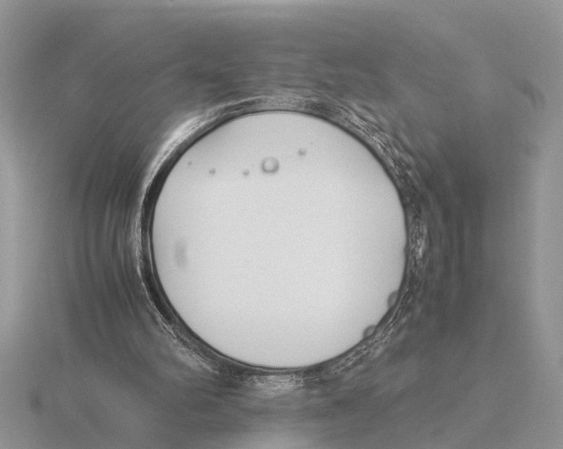 X0000115740102200912101323