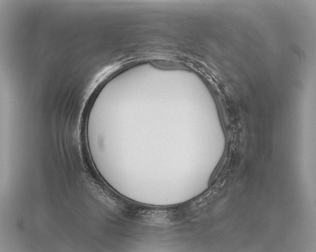 X0000115740104200912101323