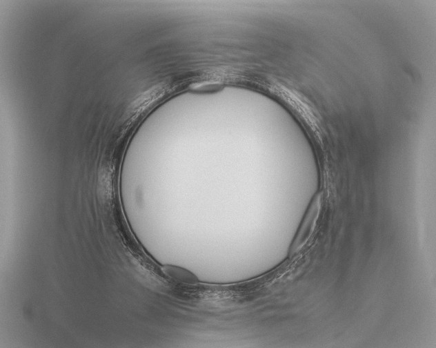 X0000115740105200912101323