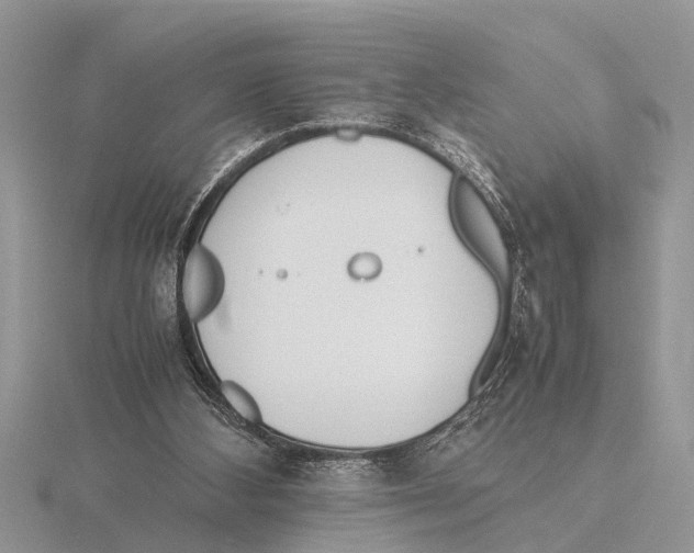 X0000115740108200912101323