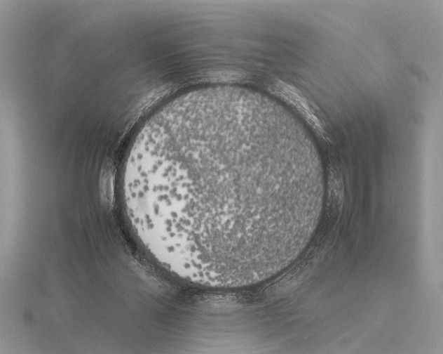 X0000115740110200912101323