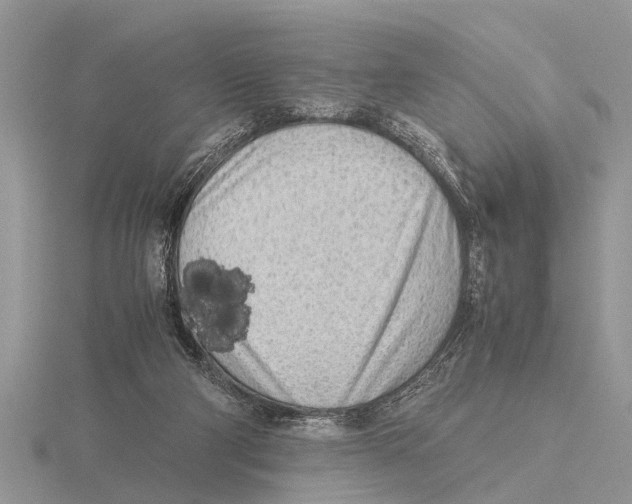 X0000115740114200912101323