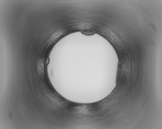 X0000115740120200912101323