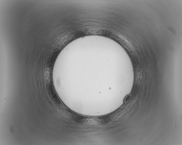 X0000115740121200912101323