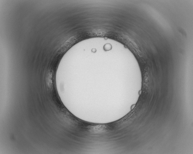 X0000115740122200912101323