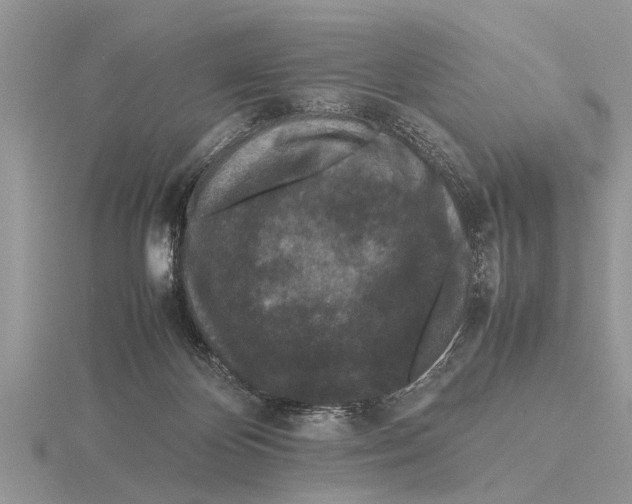 X0000115740124200912101323