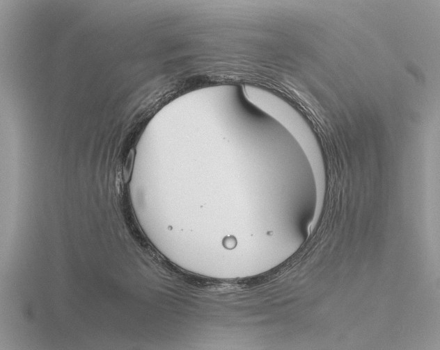 X0000115740125200912101323