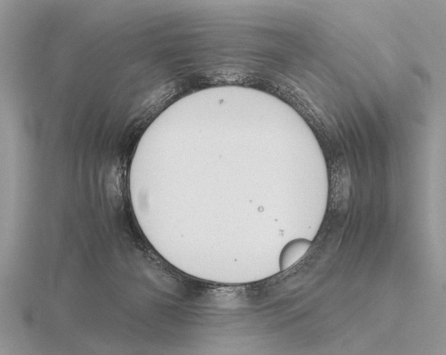 X0000115740126200912101323