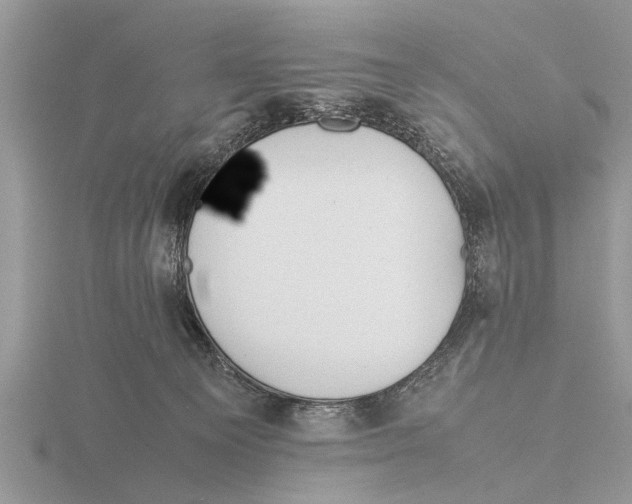 X0000115740129200912101323