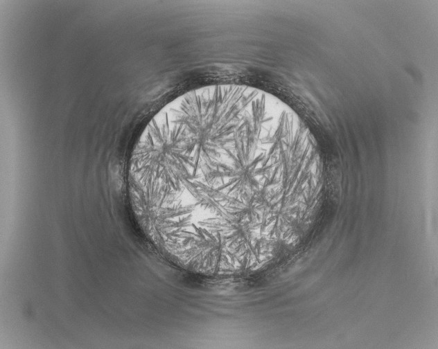 X0000115740131200912101323