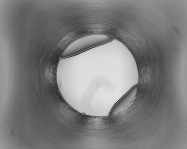 X0000115740140200912101323